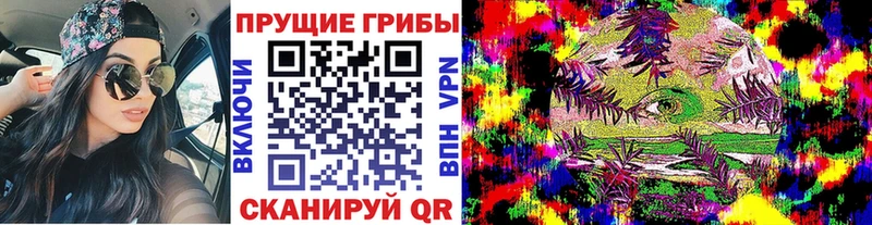 Галлюциногенные грибы Magic Shrooms Заводоуковск